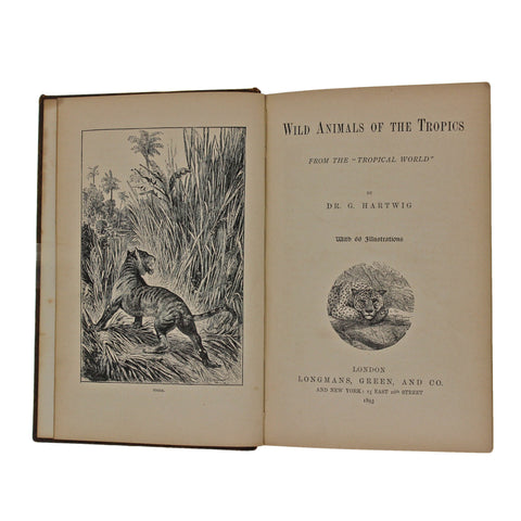 1893 Antique Book Wild Animals Of The Tropics Dr G Hartwig