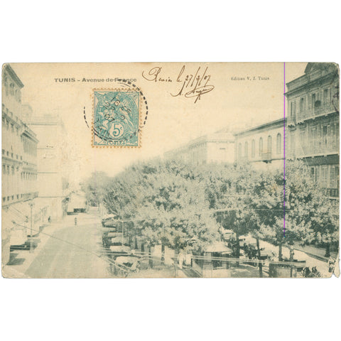 1907 Tunis, Tunisia – Avenue de France, Postcard