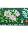 1964 Stamp United Kingdom 6 d - British Penny Elizabeth II Botanical congress