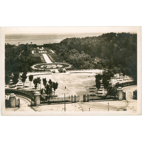 Alger, Algeria - Jardin d’Essai Postcard Mid-20th Century