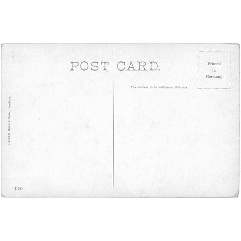 1903 Delhi, India – Army Concentration Camp, Delhi Durbar Postcard