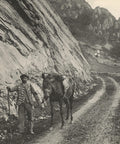 France Pyrénées Reteur d’Excursion Vintage Postcard